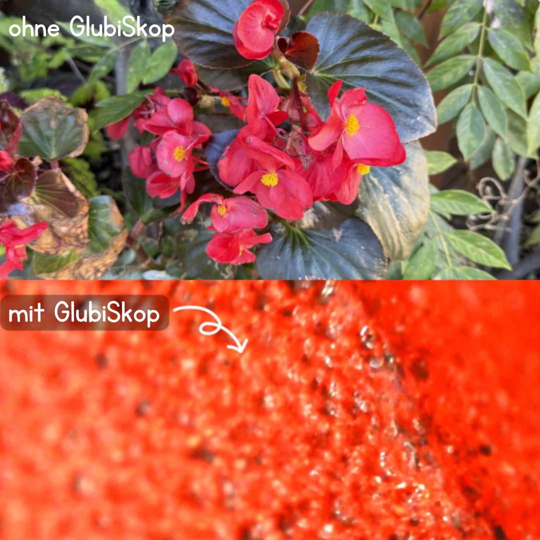 GlubiSkop™ - Microscope numérique pour petits explorateurs